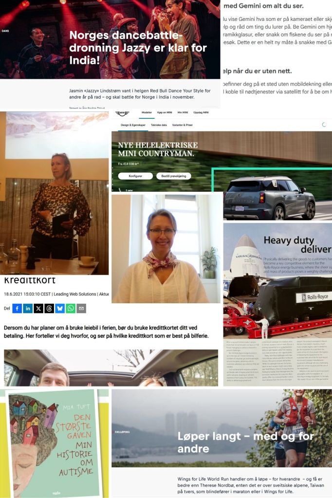 Collage med eksempler fra noen av Åses tidligere arbeider.